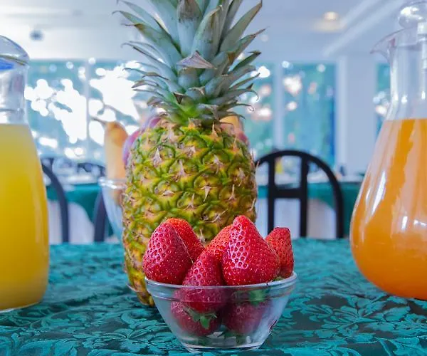 Hotel Sultano Rimini